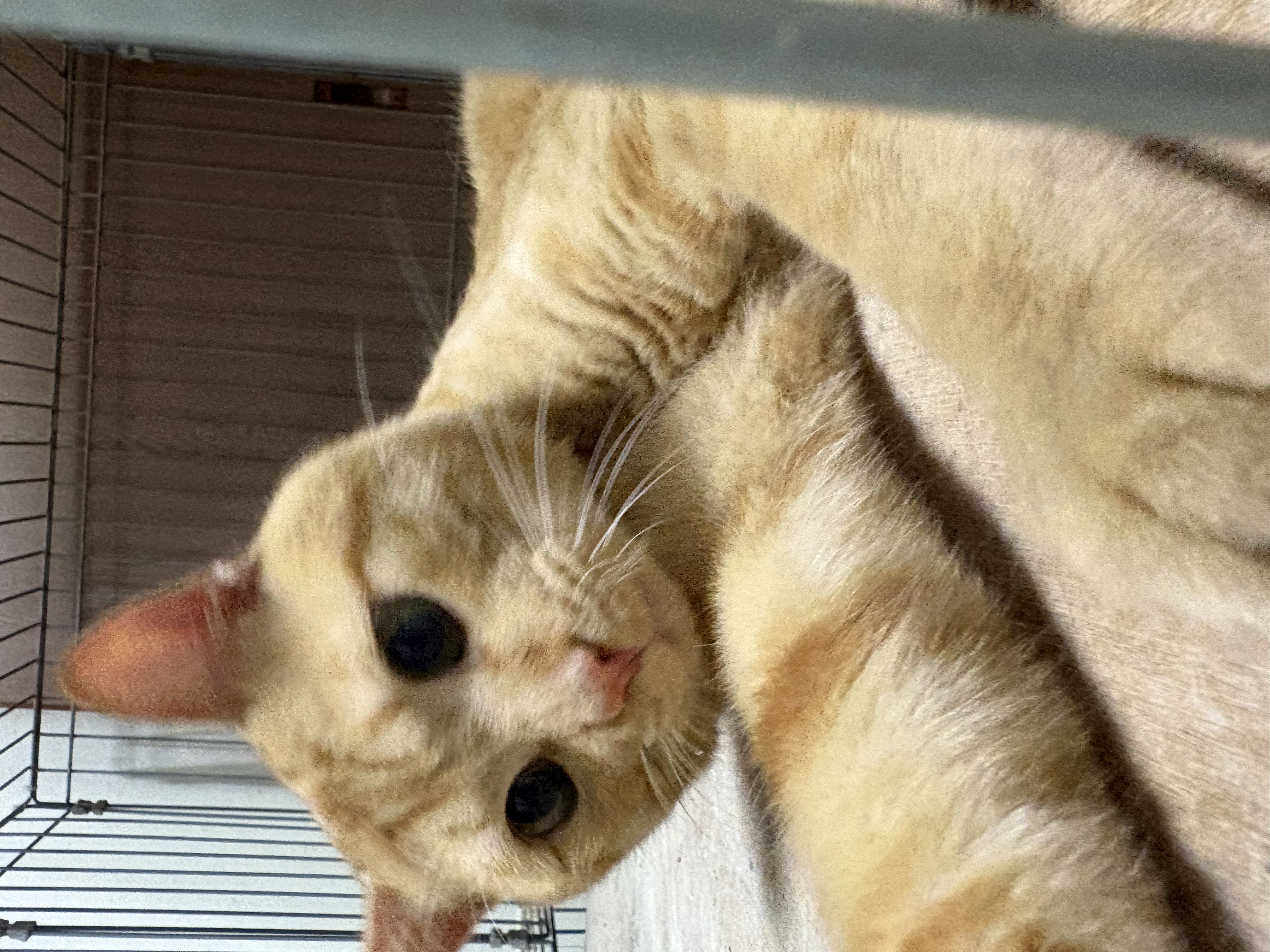 1791632276-IMG_0567.jpeg