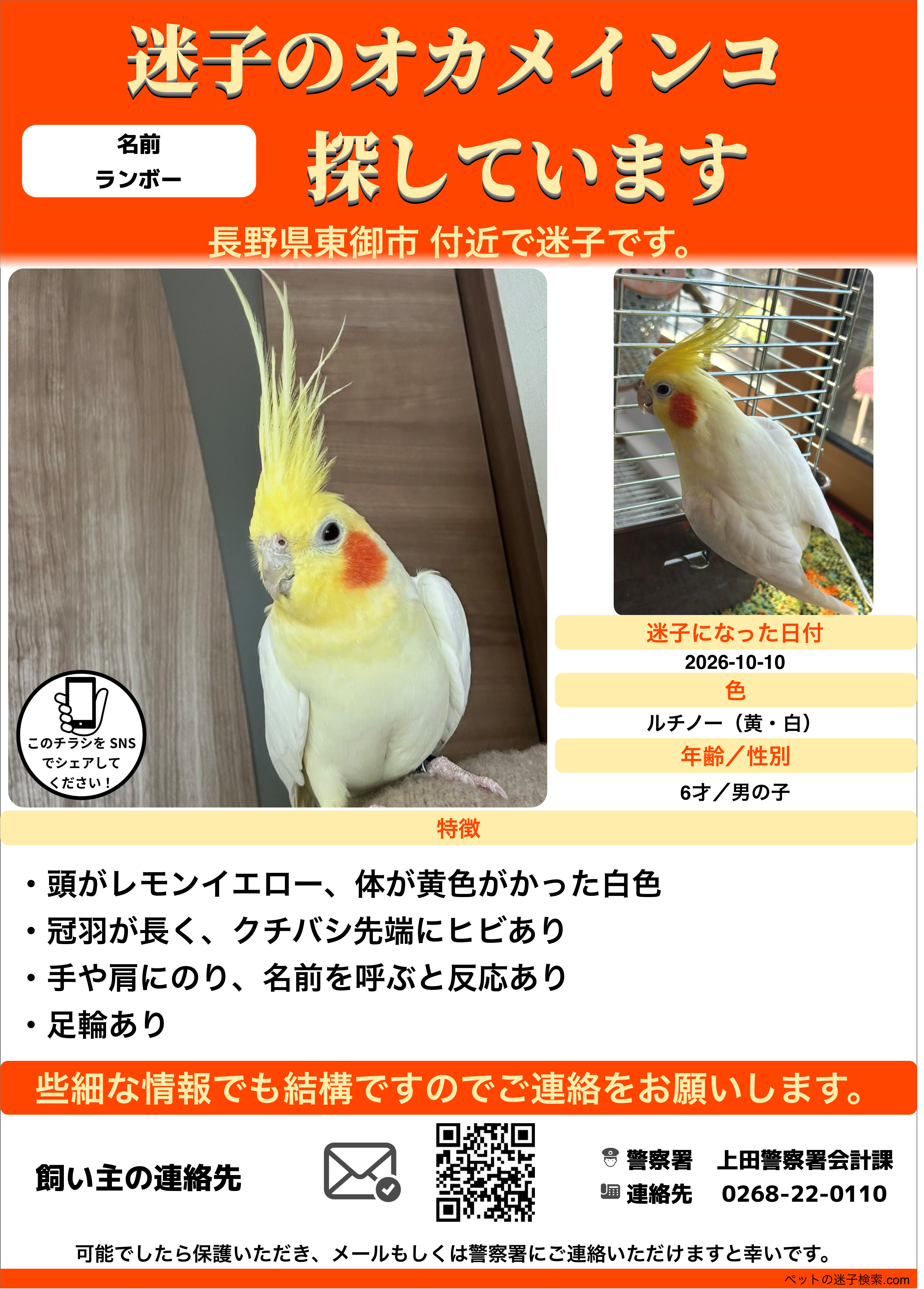 1791673607-IMG_0902.png