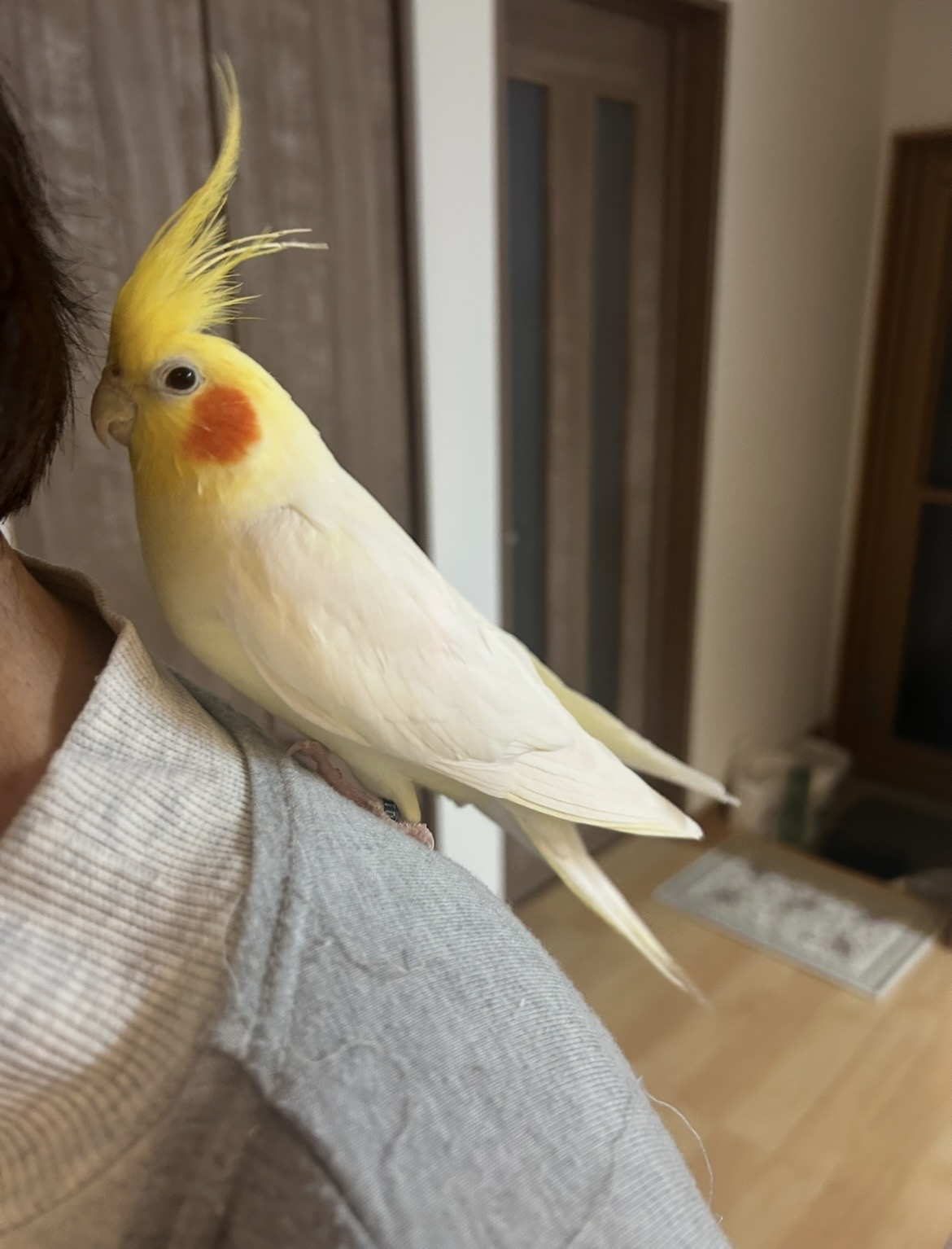 1791673607-IMG_0905.jpeg