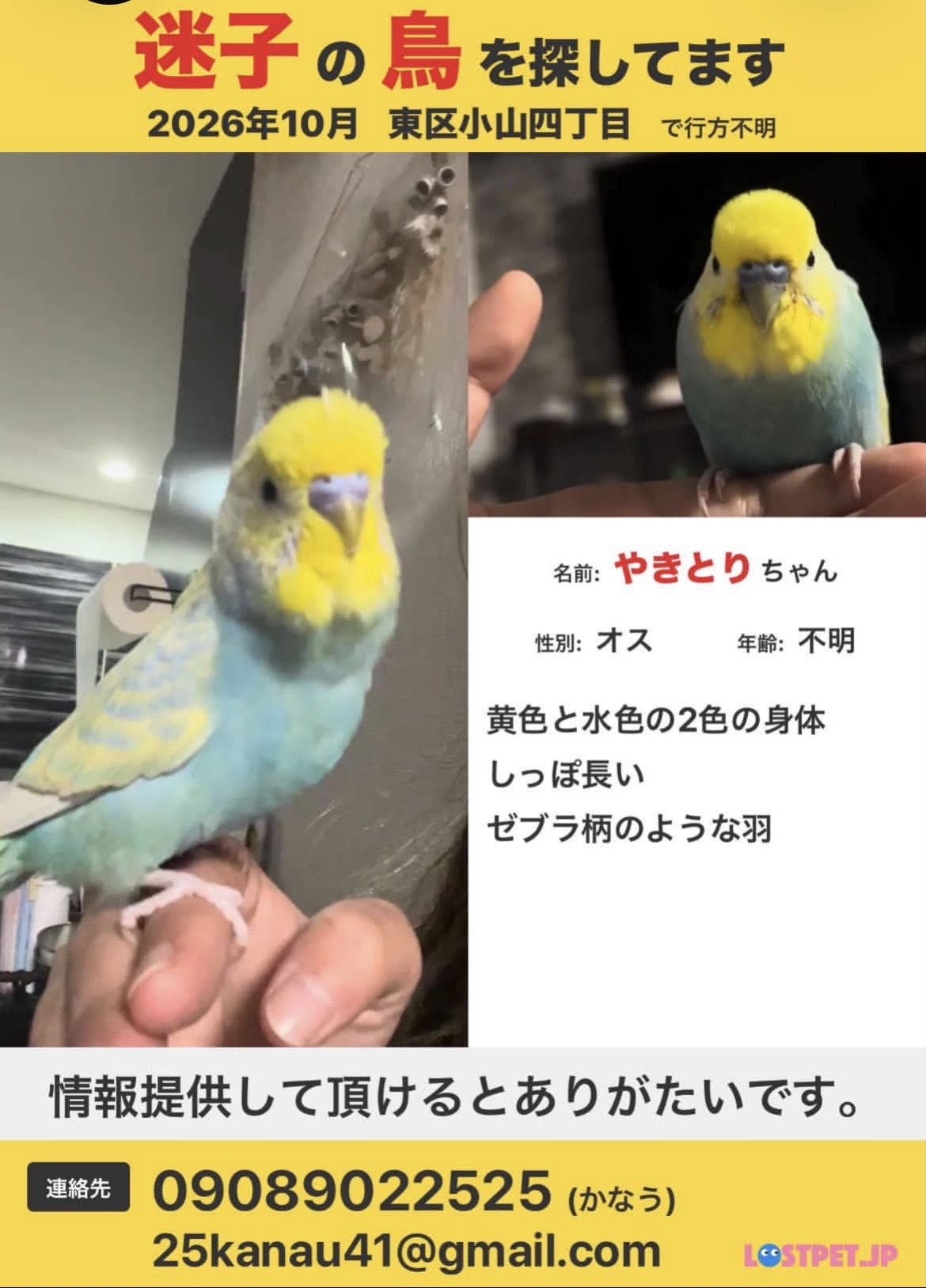 1791728942-IMG_8349.jpeg