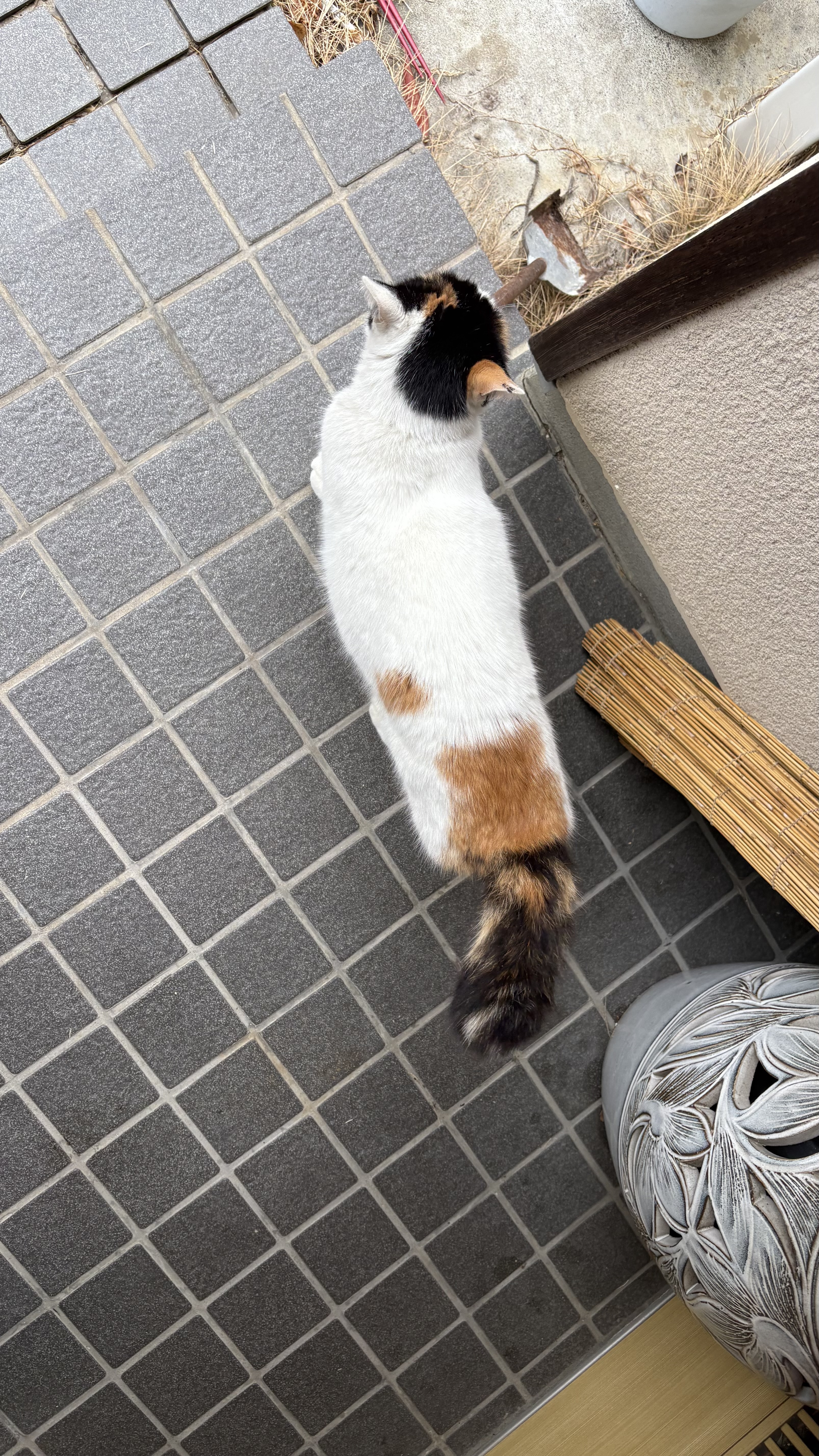 1791736830-IMG_2990.jpeg
