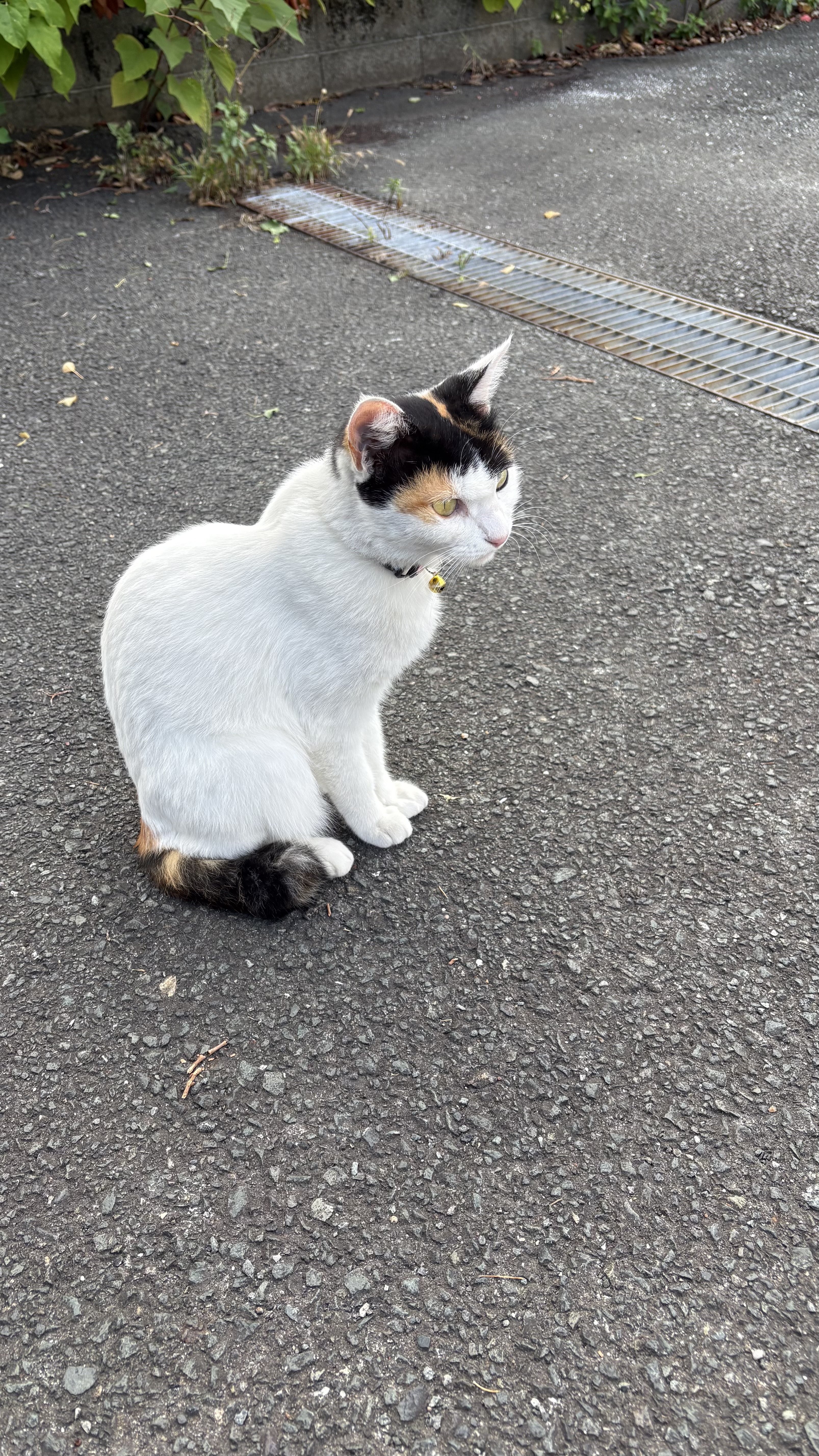 1791736830-IMG_4555.jpeg