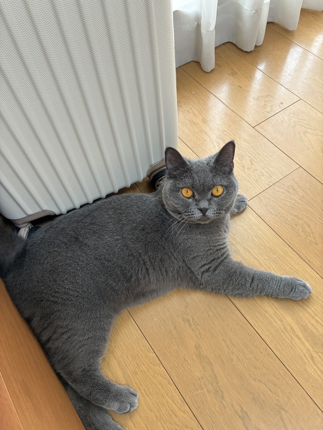 1791800702-IMG_8810.jpeg
