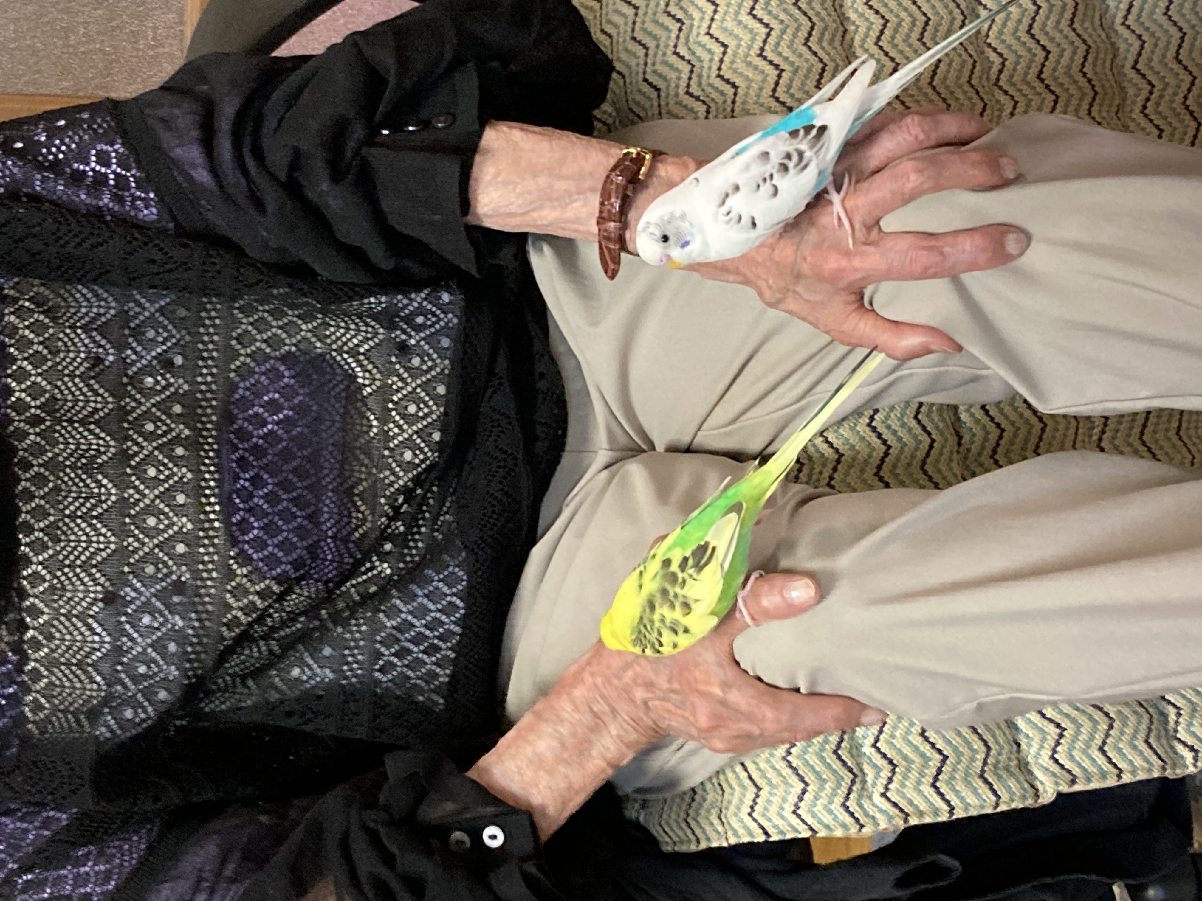 1791813619-IMG_0850.jpeg