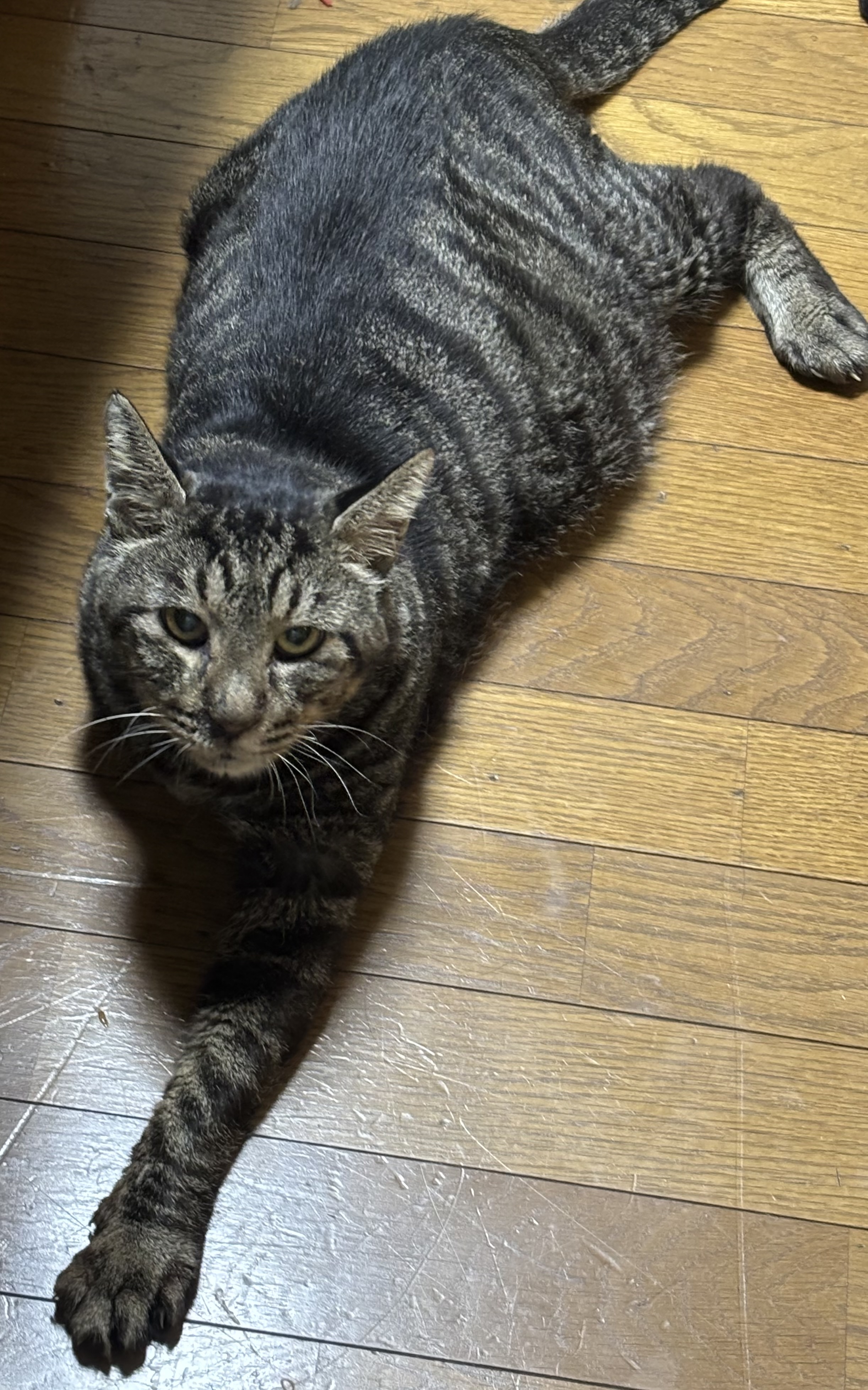 1791861765-IMG_1385.jpeg