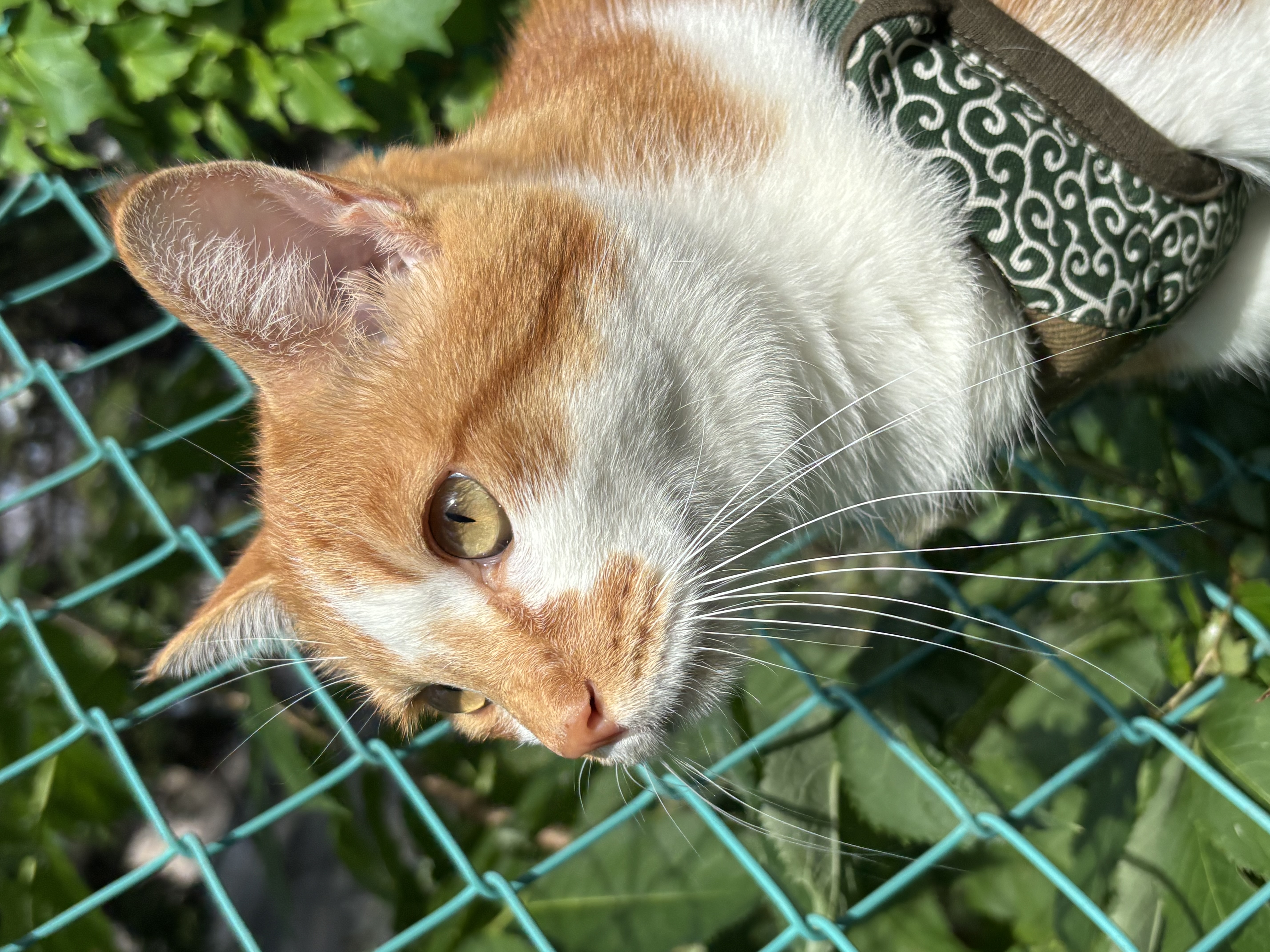 1791961988-IMG_0492.jpeg