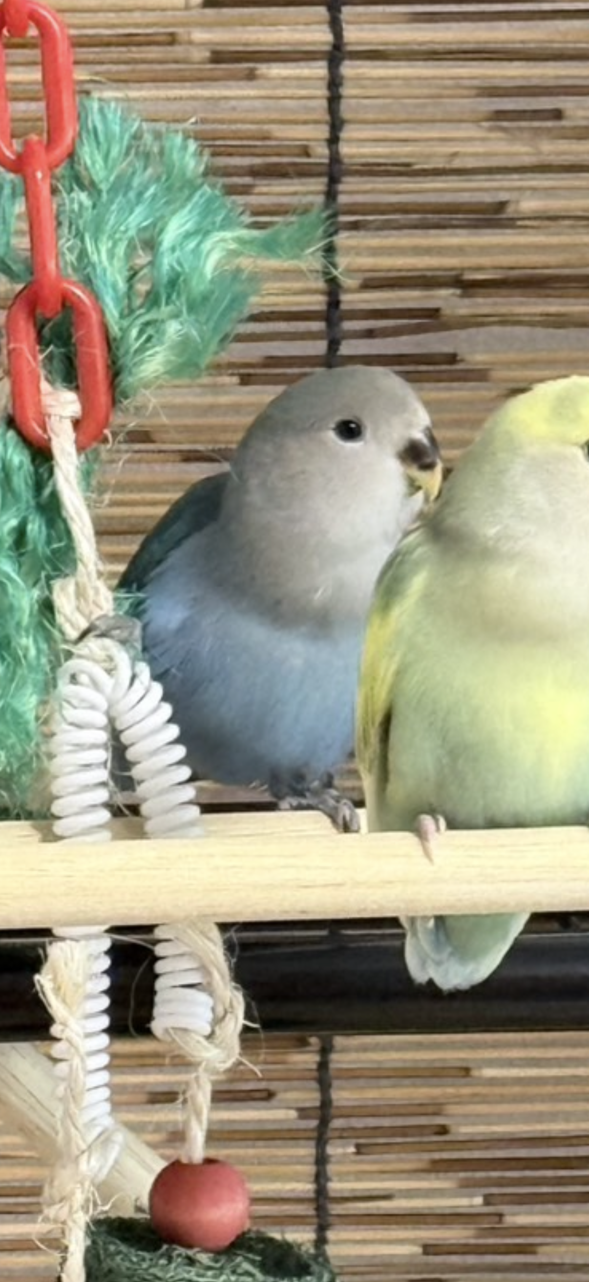 1792337429-IMG_0285.png