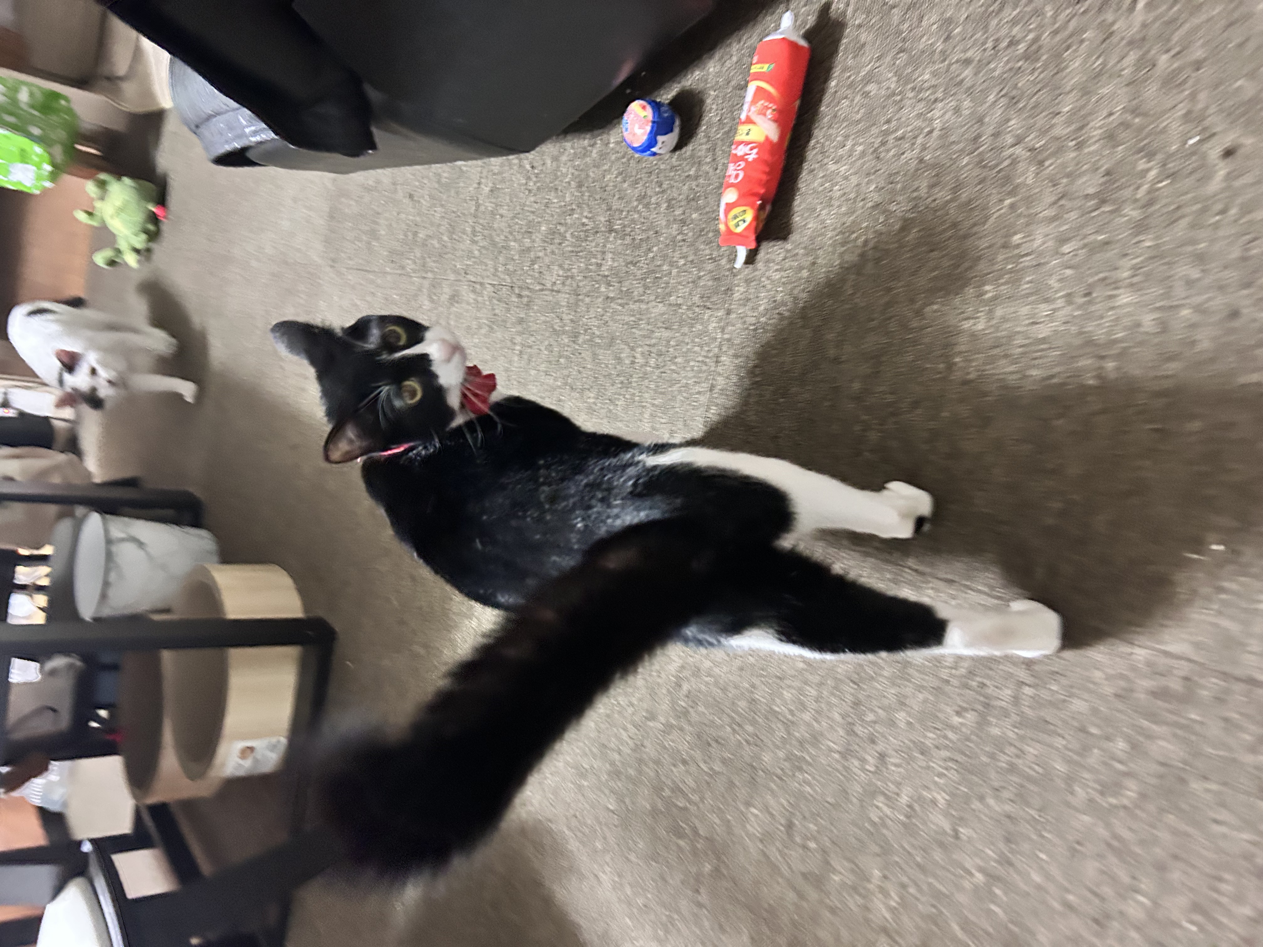 1792495325-IMG_3083.jpeg