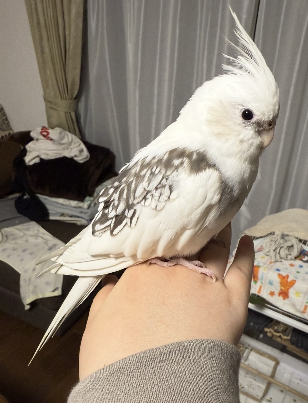1792567811-IMG_0721.jpeg