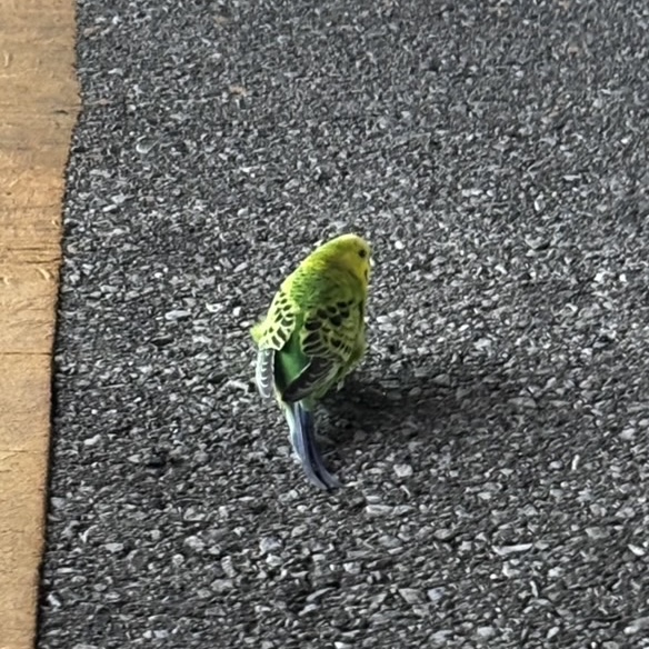 1792800461-IMG_4716.jpeg