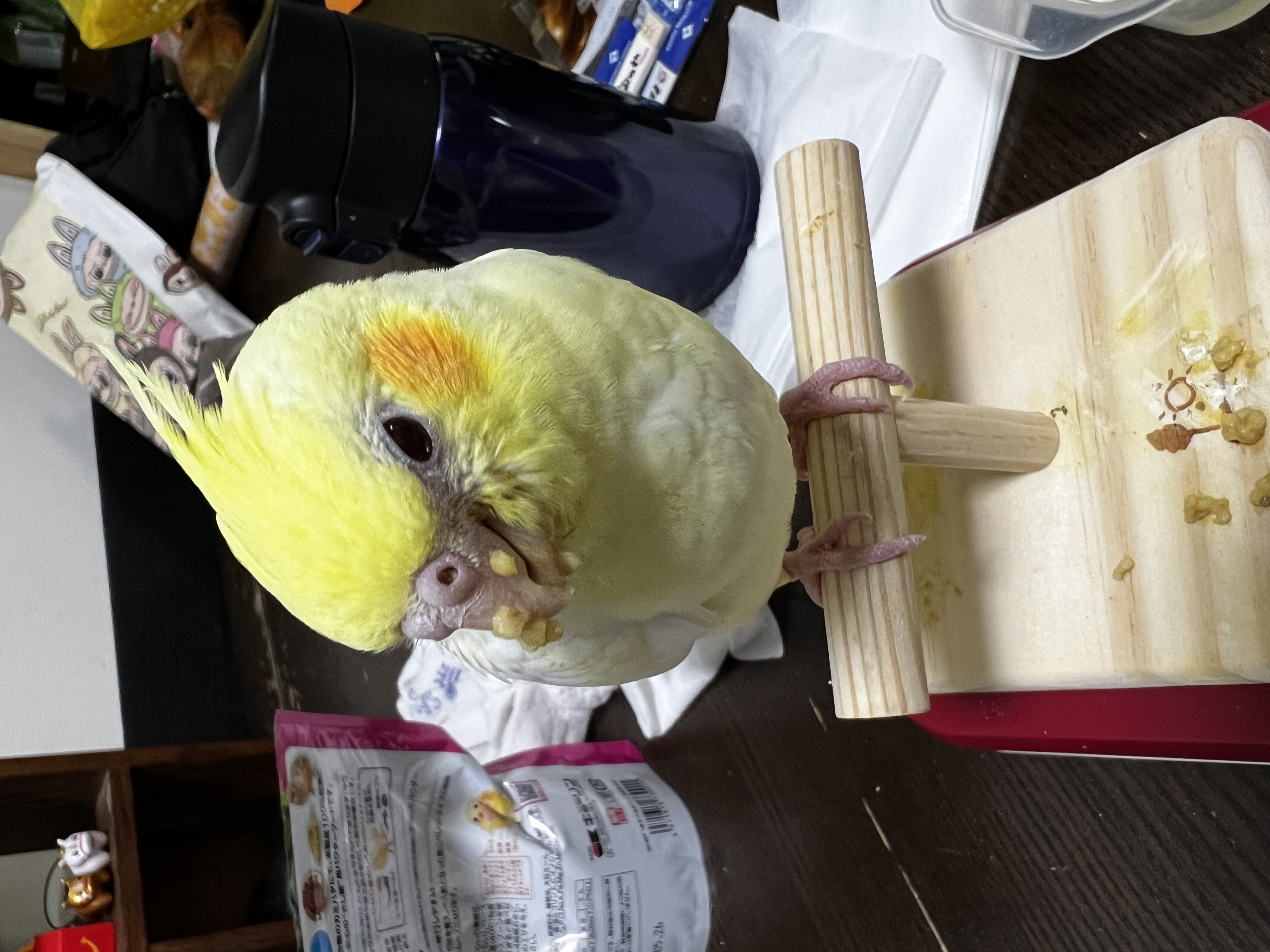 1792839337-IMG_5439.jpeg
