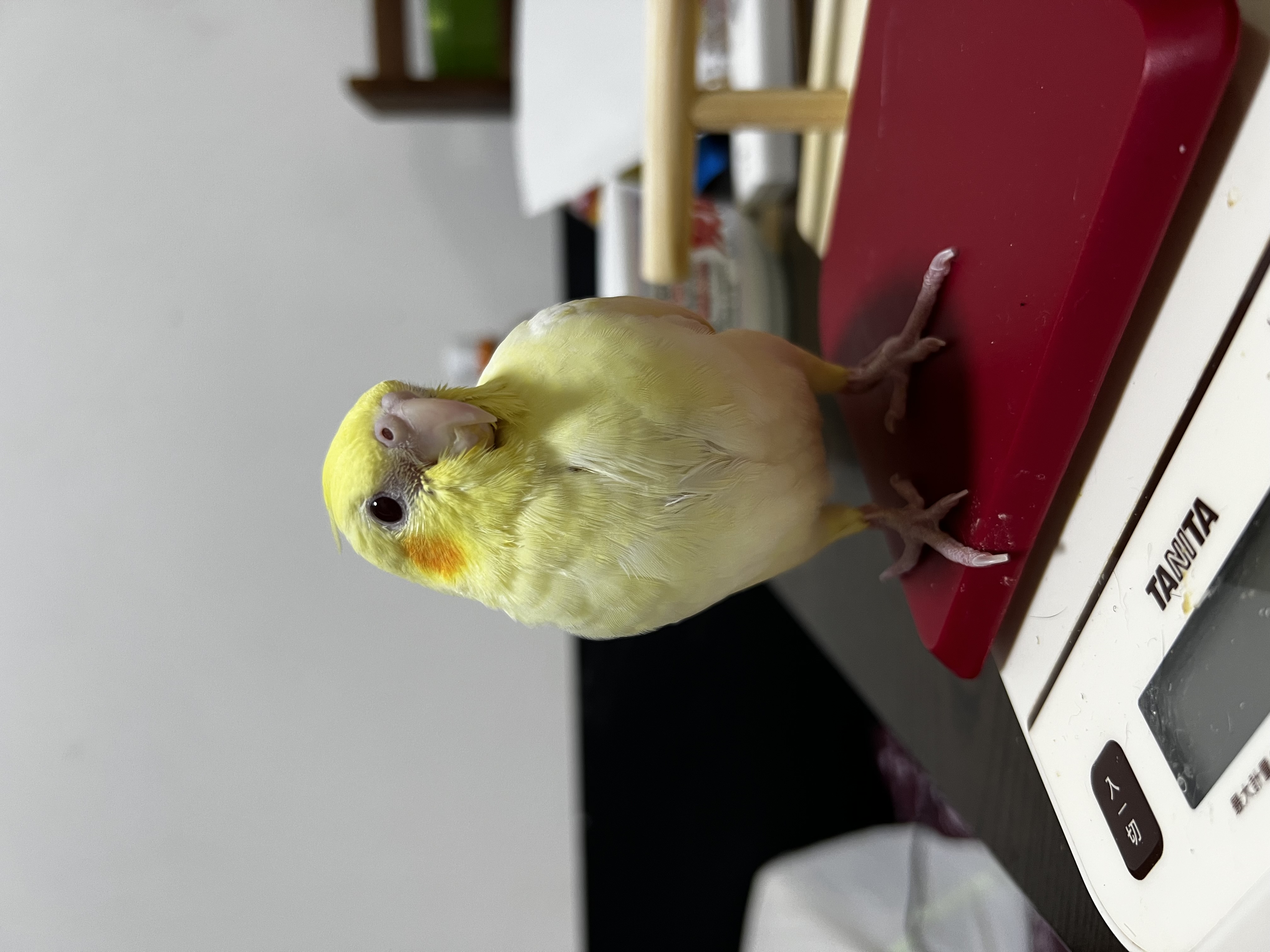1792839337-IMG_5447.jpeg