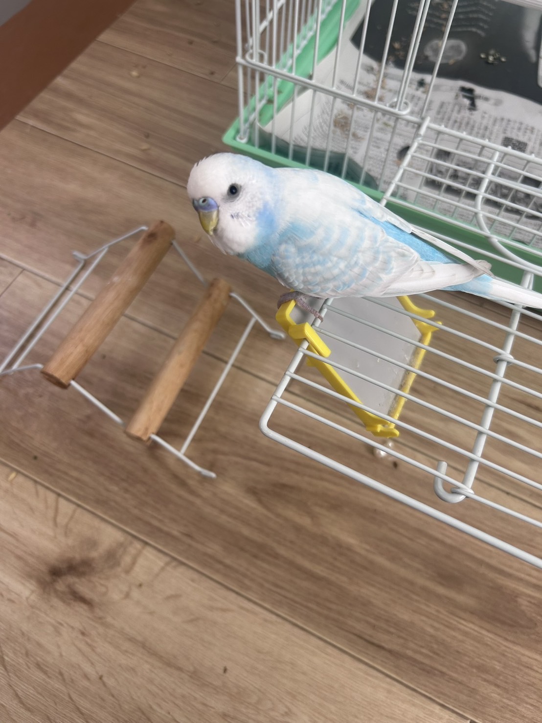1792930059-IMG_8994.jpeg