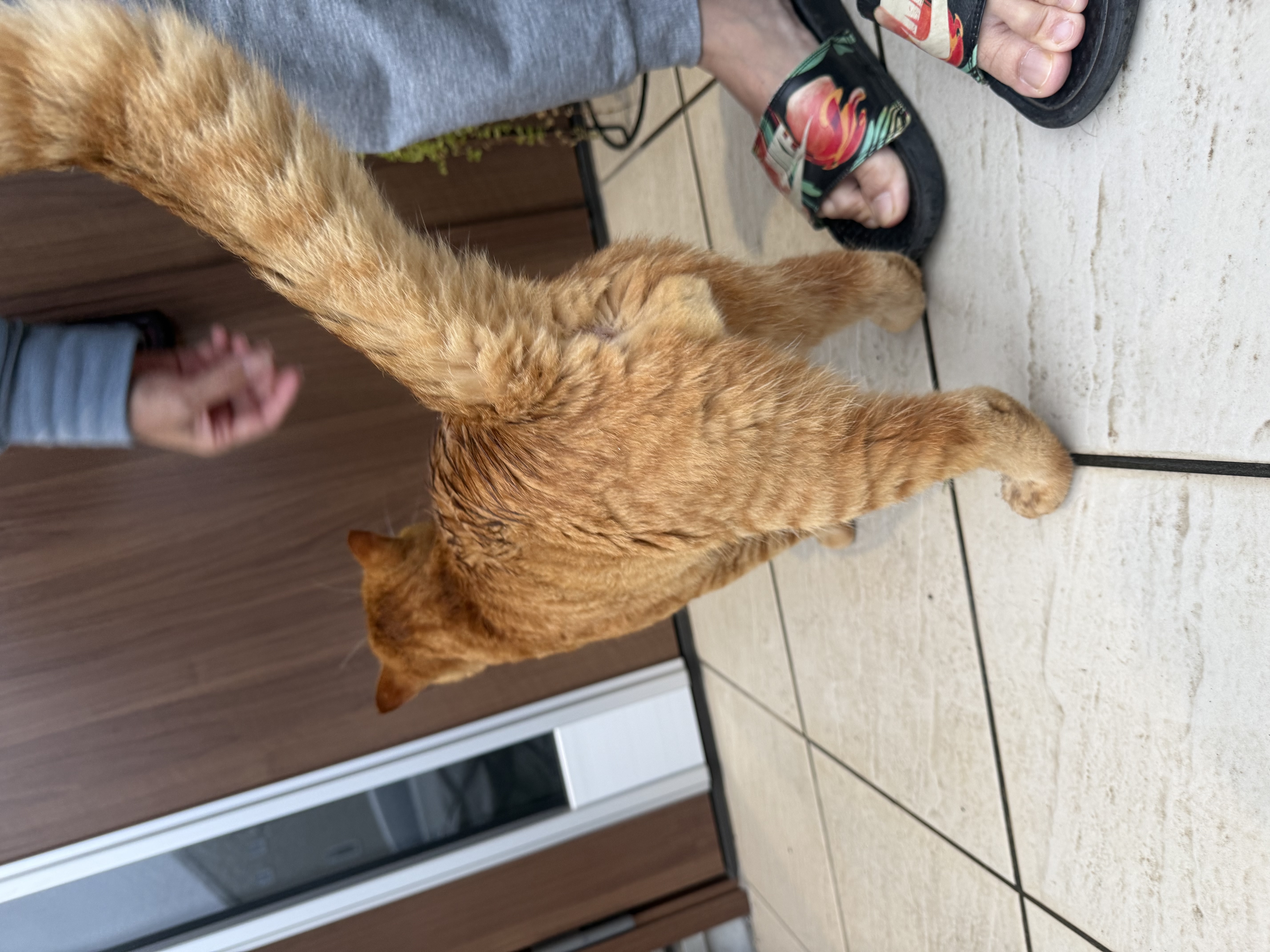 1793062084-IMG_6238.jpeg